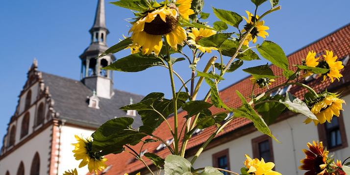 Benediktinerinnenabtei Fulda